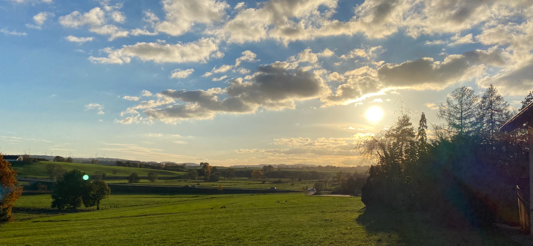 Landschaftsbild ländliche Gegend mit Blumenwiesen im Sonnenuntergang.