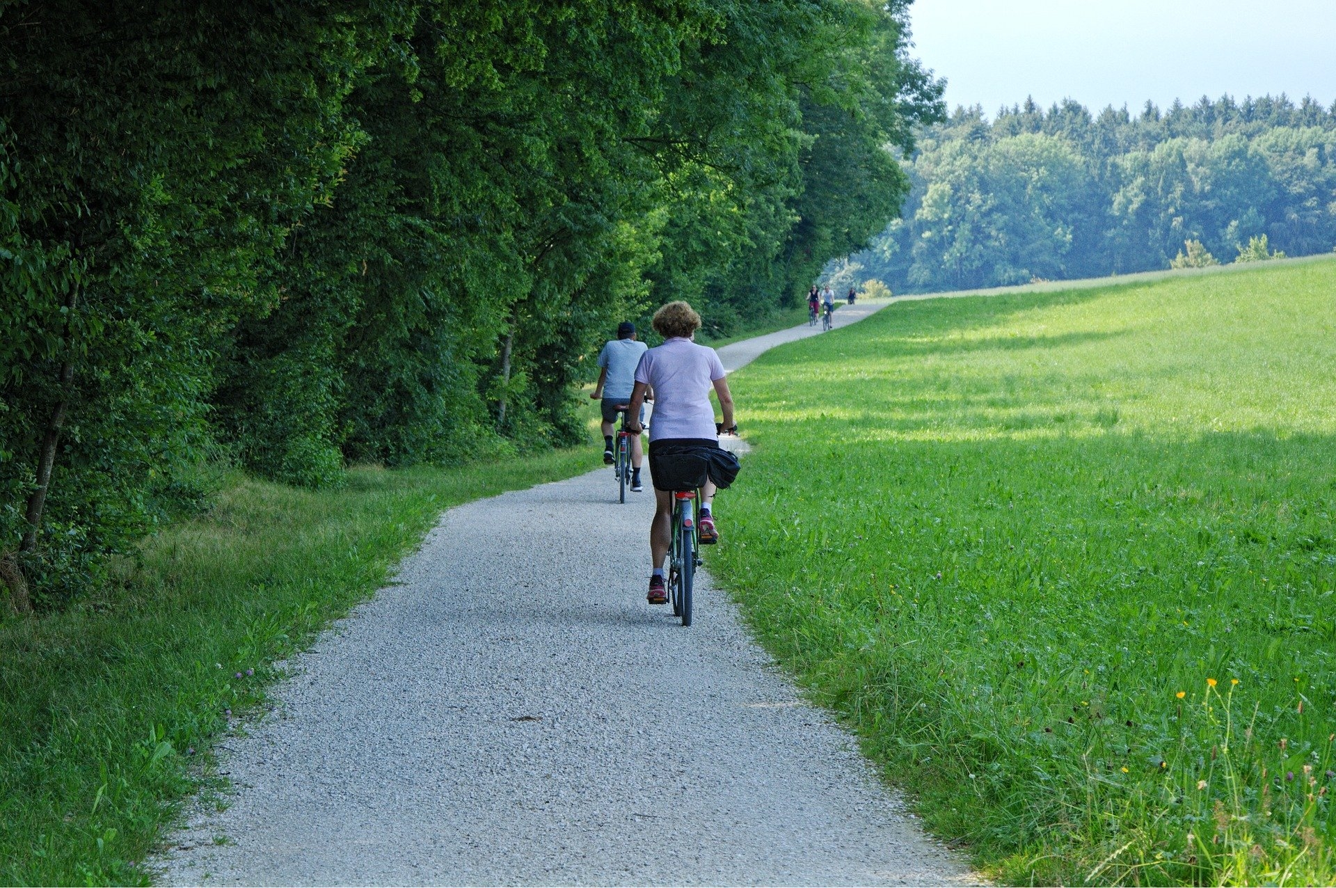 Fahrradfahrer auf einem geschotterten Radweg entlang eines Waldes. Parallel verläuft ein Wiesengrundstück.