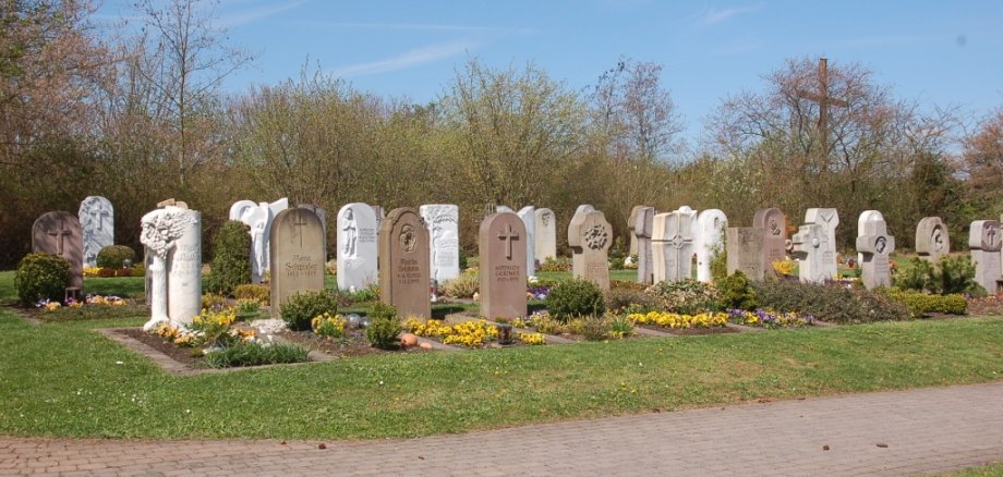Zu sehen sind Pflanzgräber auf einem Friedhof. In die Höhe ragen jeweils die Grabsteine der einzelnen Gräber.